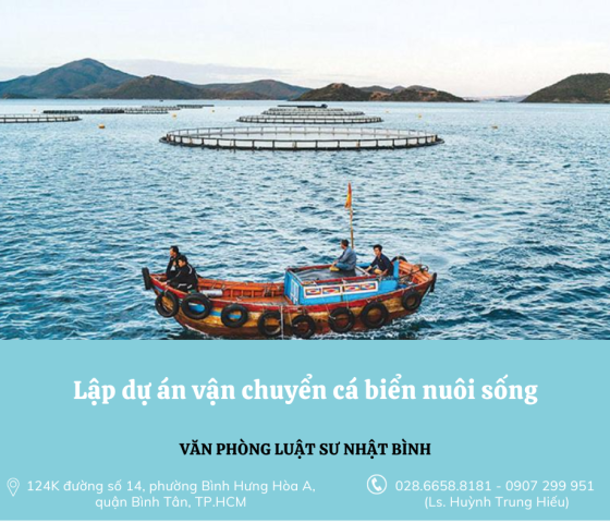 Lập dự án vận chuyển cá biển nuôi sống
