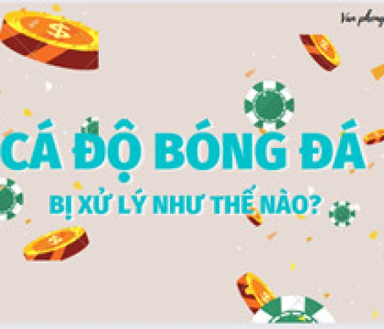 Cá độ bóng đá sẽ bị xử lý như thế nào?