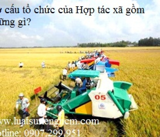 Cơ cấu tổ chức của Hợp tác xã gồm những gì?