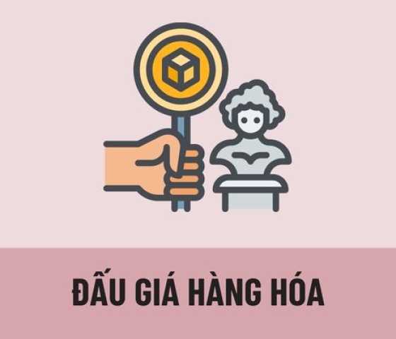 Đấu giá hàng hóa trong hoạt động thương mại?