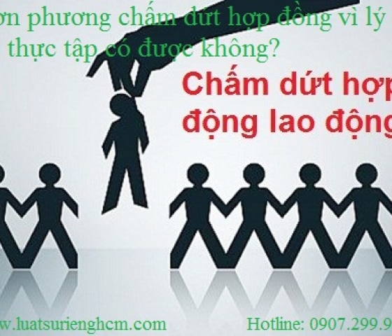 Đơn phương chấm dứt hợp đồng vì lý do đi thực tập có được không?