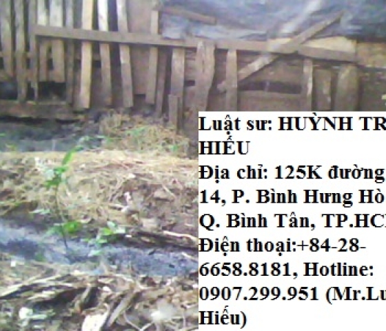 Hành vi chăn nuôi gia súc, gia cầm vi phạm quy định của pháp luật? Biện pháp xử lý? ô nhiễm do chăn nuoi gia súc gia cầm