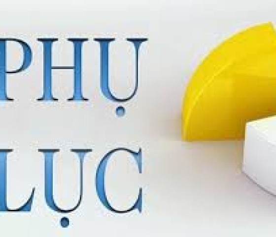 HỢP ĐỒNG PHỤ  VÀ PHỤ LỤC HỢP ĐỒNG