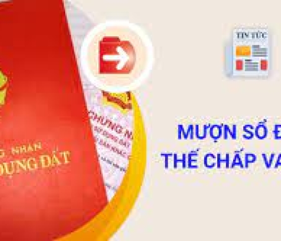 MANG SỔ ĐỎ KHÔNG CHÍNH CHỦ ĐI CẦM CỐ CÓ ĐƯỢC KHÔNG?