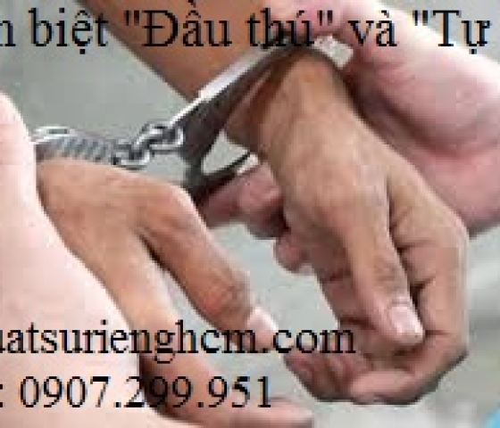 Phân biệt đầu thú và tự thú