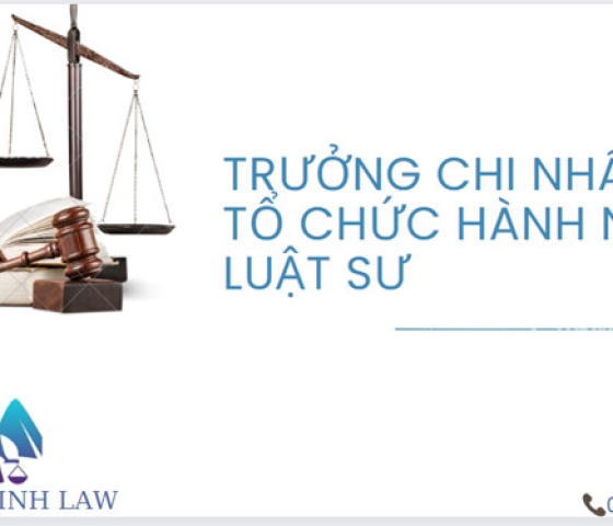 Trưởng văn phòng luật sư có thể là Trưởng chi nhánh tổ chức hành nghề luật sư hay không?